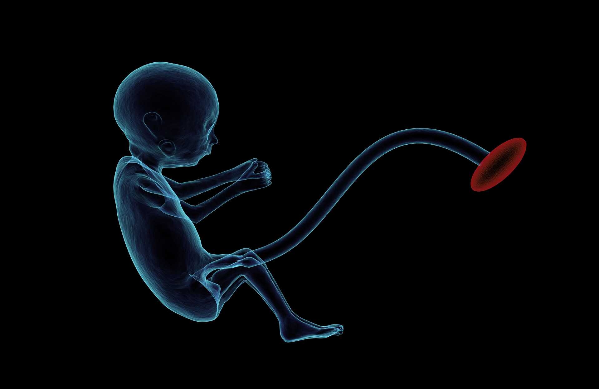 Беременность по месяцам (25 фото): развитие плода по месяцам в утробе матери, ощущения беременной. когда появлется молозиво (молоко) и всегда ли можно летать на самолете? половая жизнь
