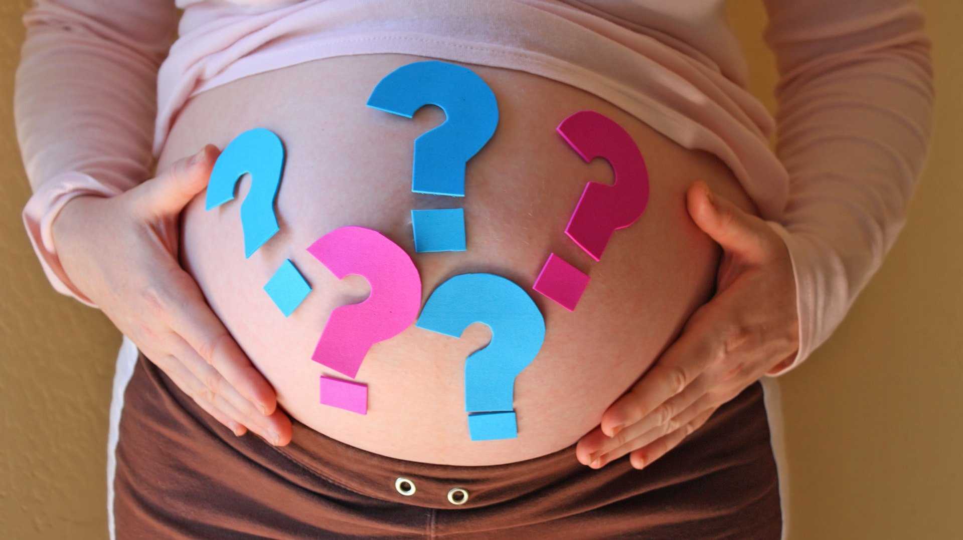 На каком сроке беременности узи позволяет определить пол ребенка