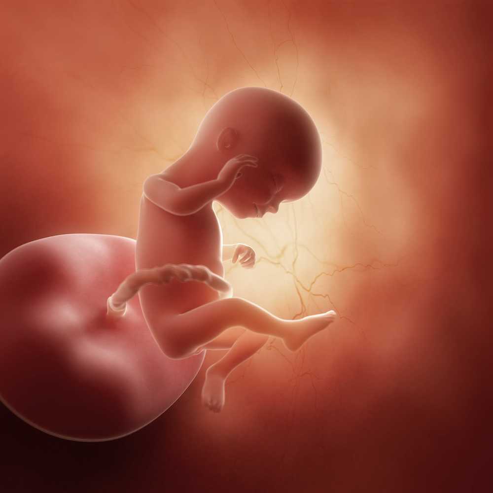 15 неделя беременности: что происходит с малышом и мамой?