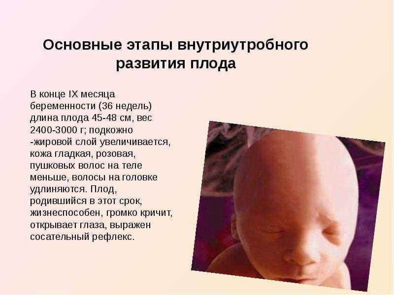 Ребенок на 40 неделе беременности (13 фото): активные шевеления плода или мало шевелится, если затих, вес малыша и нормы