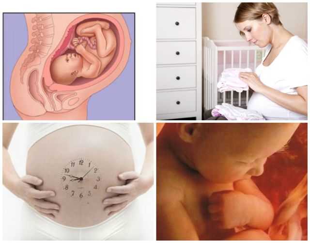 Предвестники родов у первородящих на 36, 37, 38, 39, 40 недели беременности, как начинаются, первые признаки