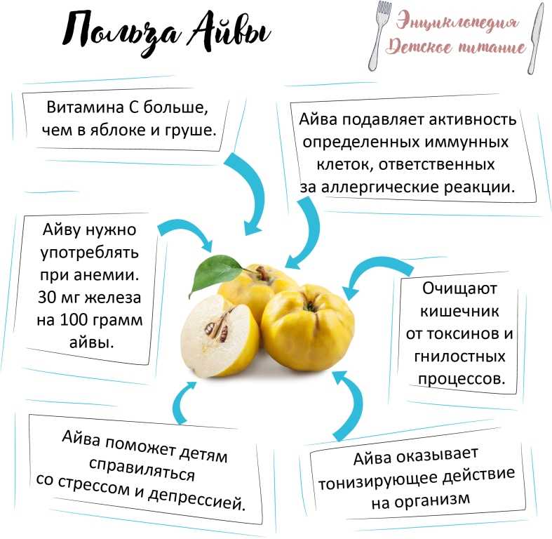 Что такое айва и как ее едят - состав, польза и противопоказания к использованию