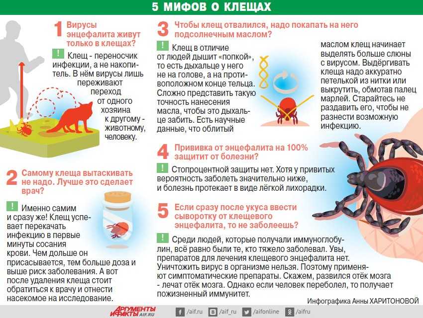 Схема лечения при укусе клеща