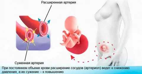 Тахикардия при беременности: причины, симптомы, диагностика, лечение и прогнозы