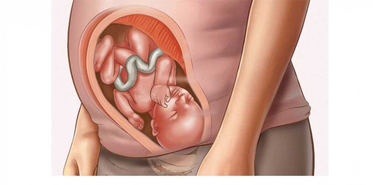 Питание беременной женщины: особенности, рекомендации беременным  – портал для мам, отзывы