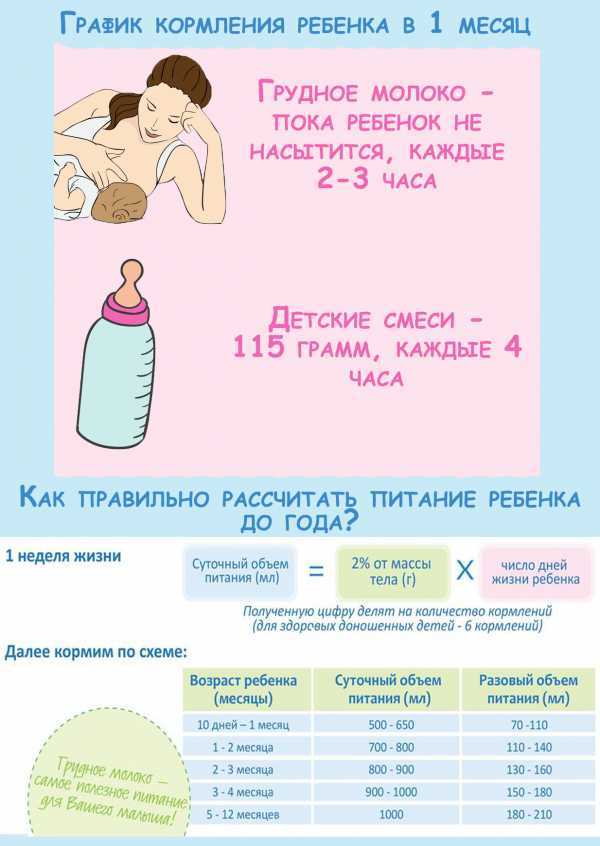 Сколько раз нужно кормить новорожденного