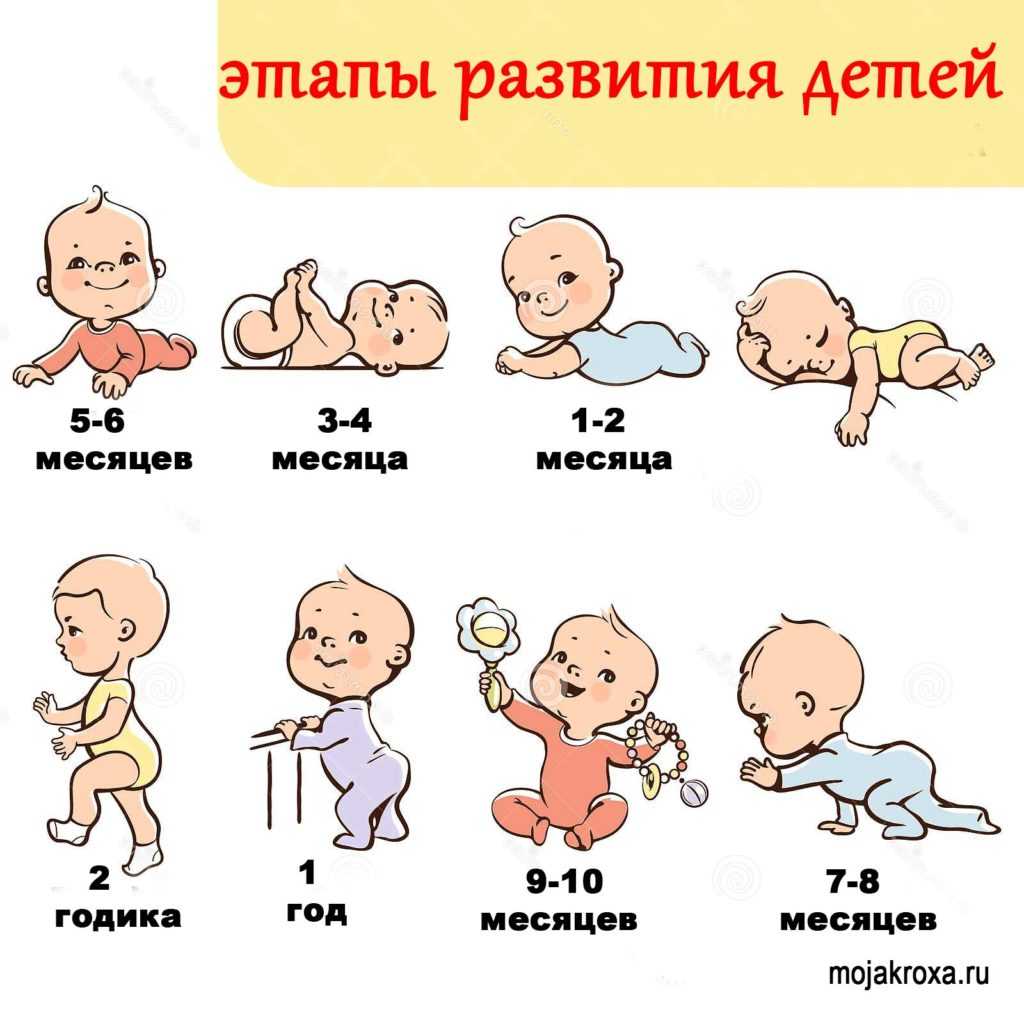 Развитие ребенка в 6 месяцев и пятый скачок роста