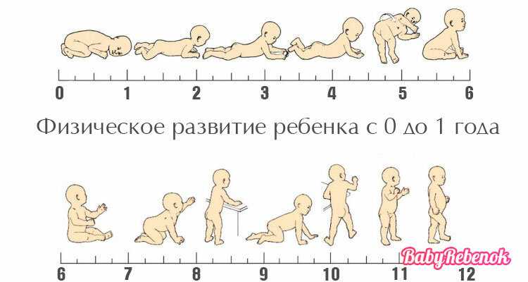 Поэтапное развитие ребенка. Этапы развития ребенка до года по месяцам таблица. Стадии развития малыша по месяцам до года. Стадии развития ребенка до года по месяцам таблица. Стадии развития ребенка до 1 года.