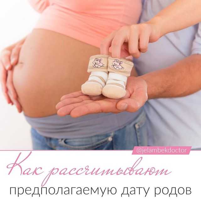 Беременность по триместрам. полезные советы акушеров-гинекологов