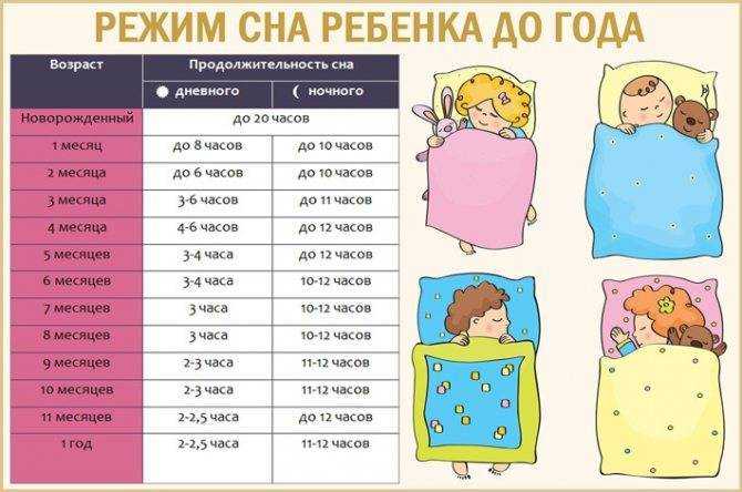 Сколько спит ребенок в 7 месяцев | уроки для мам