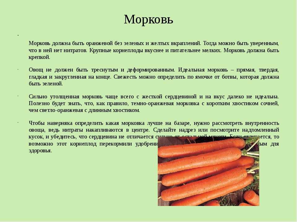 Морковь и беременность: можно ли беременным употреблять овощ в 1, 2 и 3 триместрах, какая польза и вред?