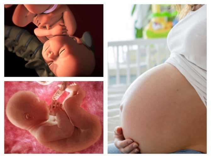 40 неделя беременности: что происходит с мамой и малышом и какие изменения наблюдаются?