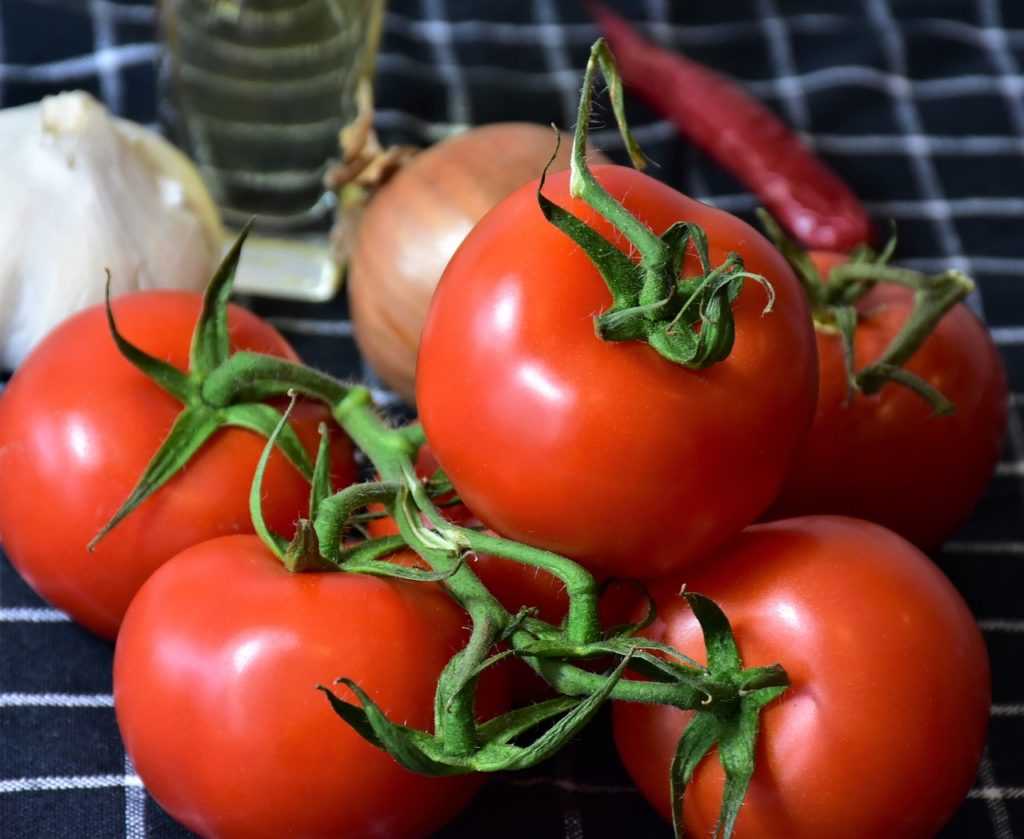 Помидоры — полезные свойства для организма человека + кому противопоказаны помидоры и почему