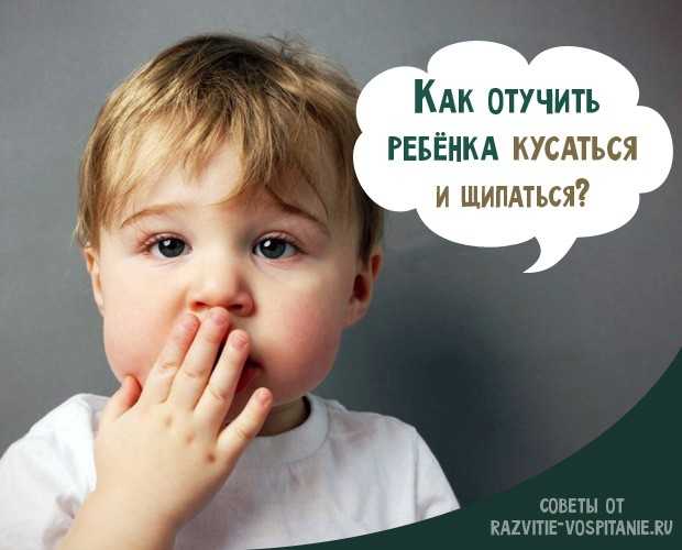 Как отучить ребенка кусаться: консультация для родителей, советы доктора комаровского