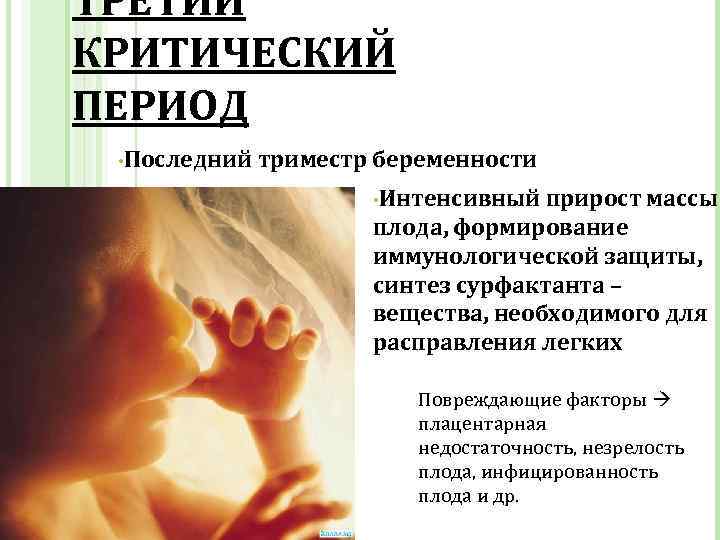 Все самое важное о третьем триместре беременности | legkomed.ru
