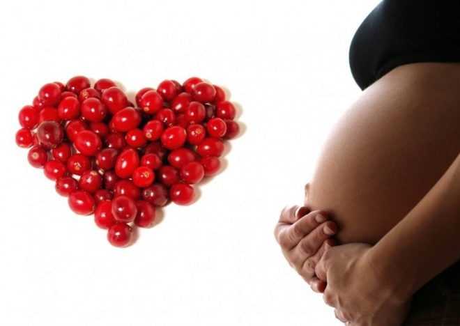 Клюквенный морс при беременности - как пить, от чего помогает, рецепт