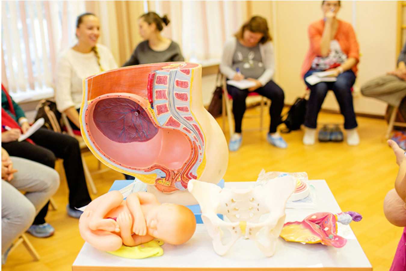 Какие бывают методики подготовки к родам? обзор программ подготовки к родам