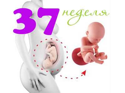 Развитие ребенка в 36 недель самочувствие будущей мамы ощущения узкие вопросы беременности Образ жизни и подготовка к родам на 36 неделе беременности Предвестники родов