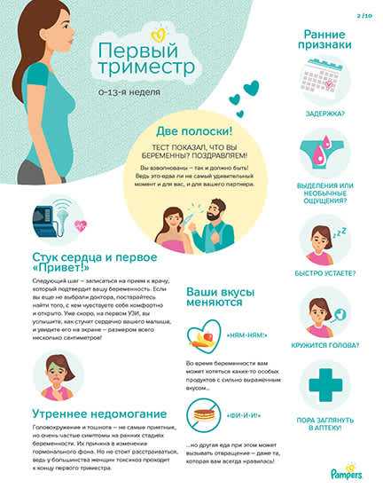1 триместр беременности | уроки для мам