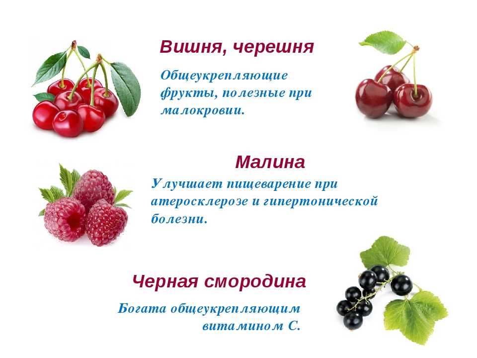 Сколько черешни можно съедать в день. Полезные ягоды. Полезные ягоды для здоровья. Полезные ягоды для детей. Чем полезна вишня для организма человека.