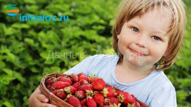 С какого возраста можно давать ребенку клубнику: советы и рекомендации :: syl.ru