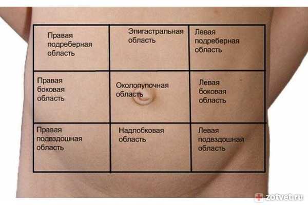 ᐉ болит правый бок при беременности: почему и что делать? почему у беременной может болеть правый бок - ➡ sp-kupavna.ru