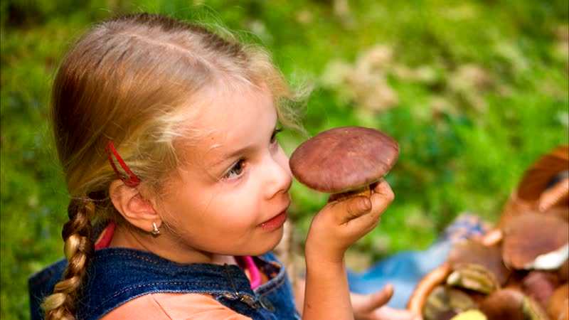 Как правильно кушать грибы при беременности Польза и вред грибов для будущей мамы Каким грибам отдать предпочтение ожидая малыша