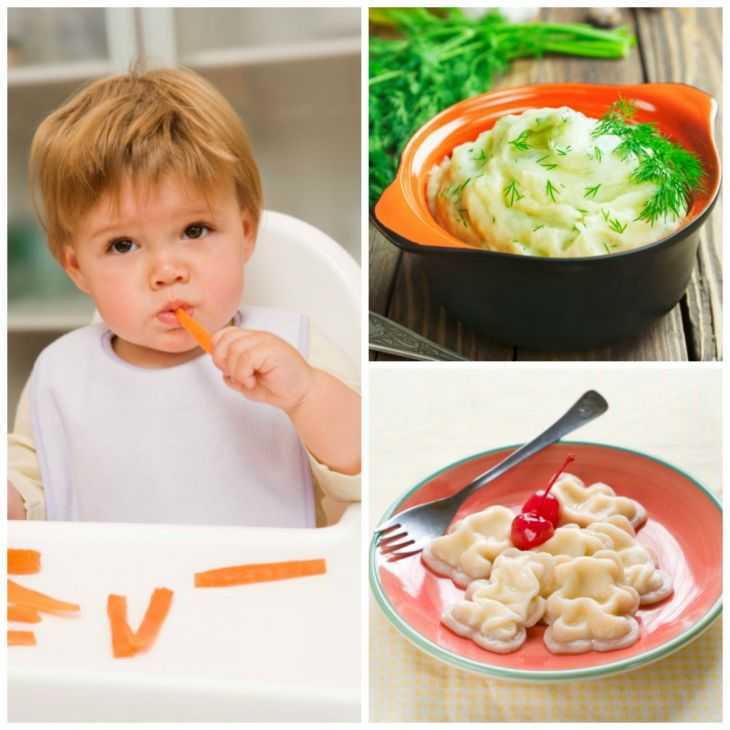 Ребенок не ест мясо: 105 фото что делать и как приучить к мясу детей