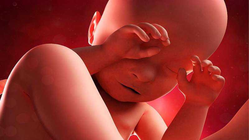 Предвестники родов у первородящих: как понять, что скоро начнутся роды на 38-39 и 40 неделях беременности, симптомы приближающихся родов