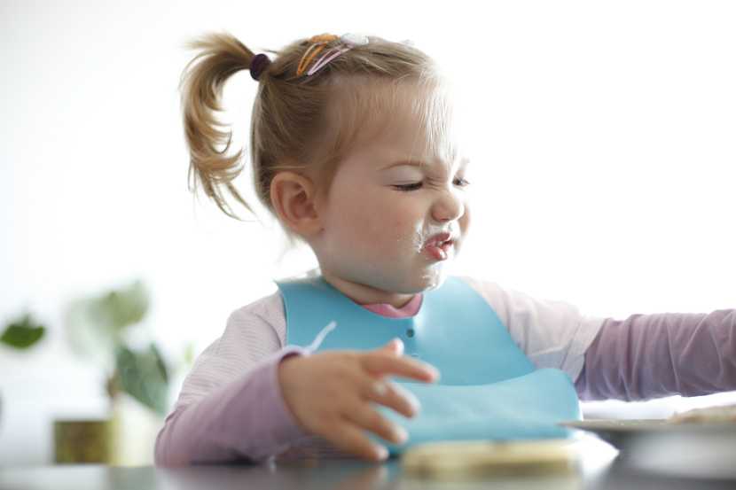 Что делать, если ребенок в  2 или 3 года не хочет ничего есть