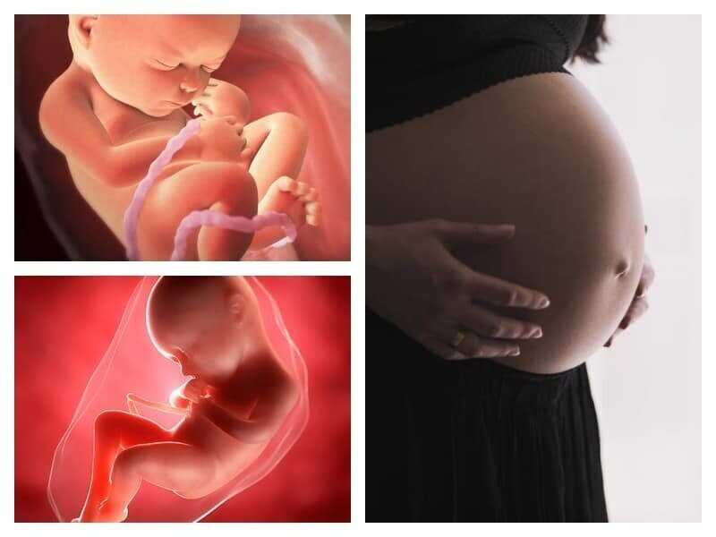 25 неделя беременности - ощущения, что происходит с малышом и мамой в 25 недель