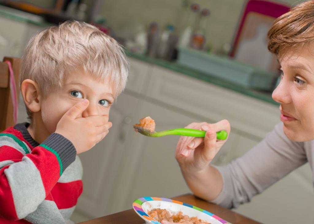 Причины плохого аппетита у ребенка
