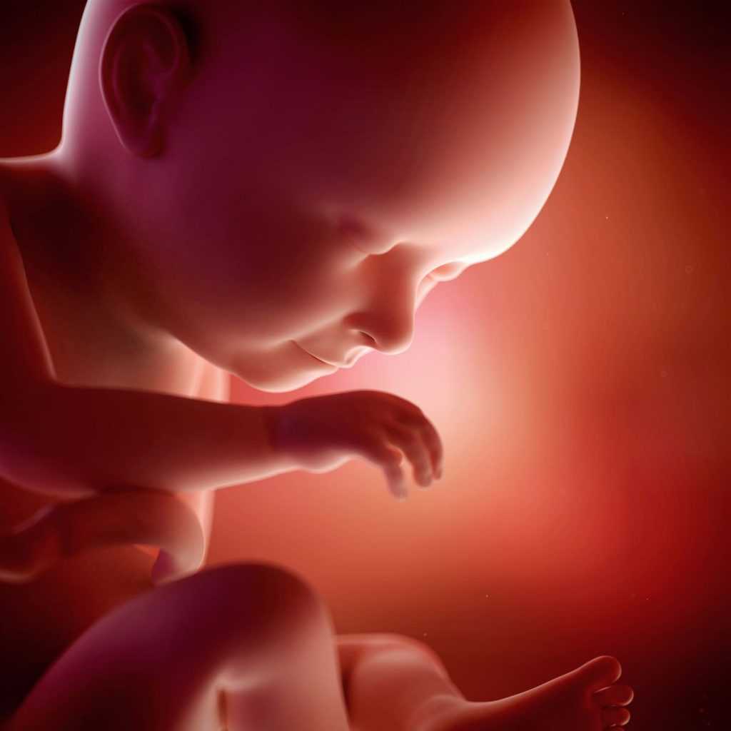 37 неделя беременности: предвестники родов, что происходит, видео, выделения